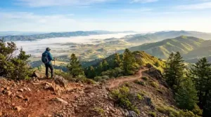 Mount Saint Helena Trail